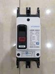 MCCB HYUNDAI 2P 40A 35kA ( HGM100E-F )